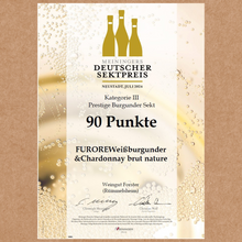 Laden Sie das Bild in den Galerie-Viewer, FURORE - Sekt brut nature