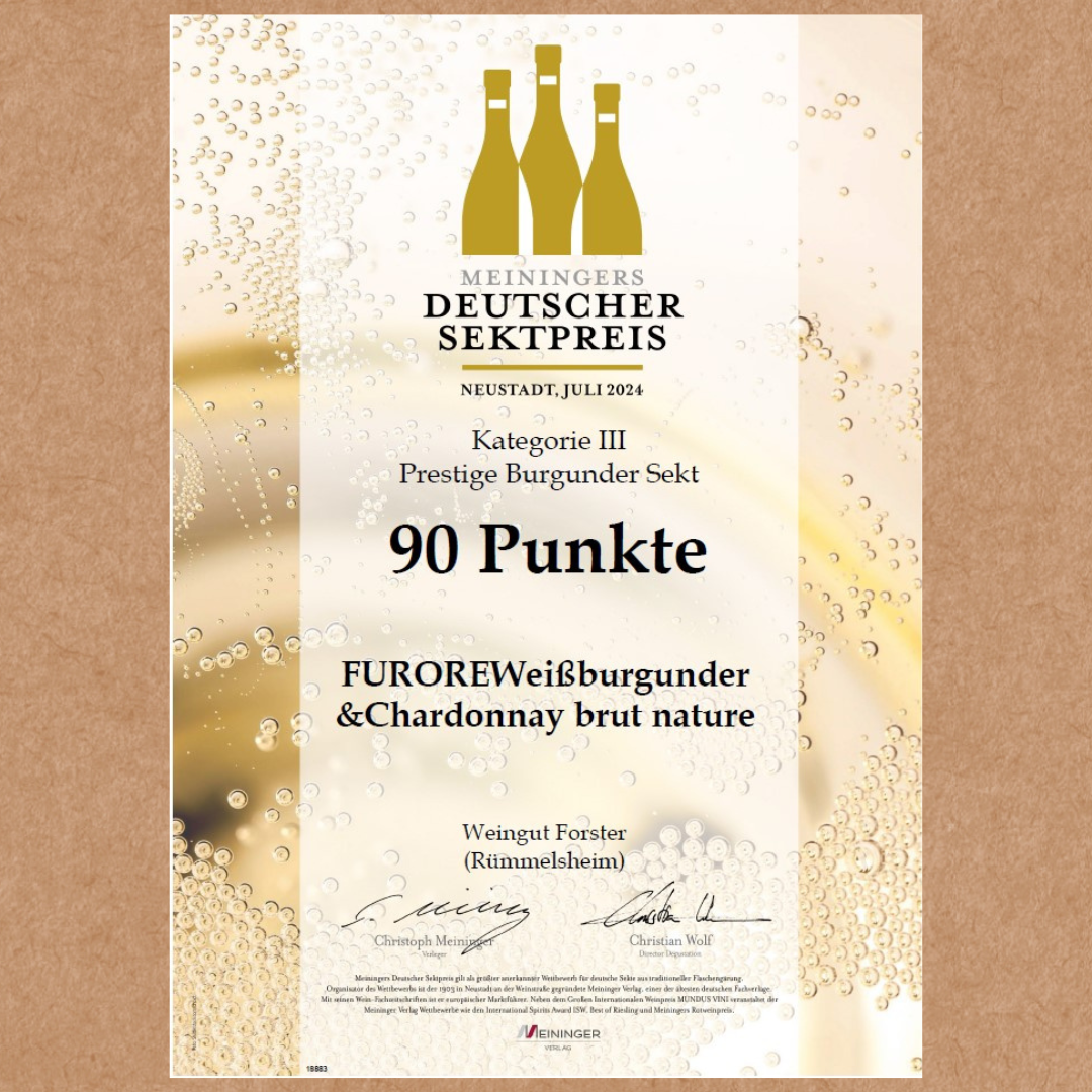 FURORE - Sekt brut nature