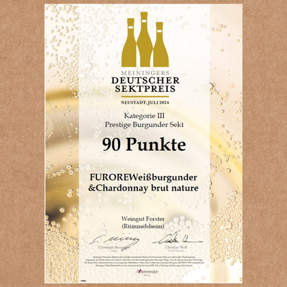 FURORE - Sekt brut nature