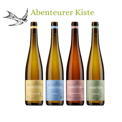 Zeigt 4 Flaschen Wein vom Weingut Forster. Geschenk. Abenteurer Weine. Alle Weine haben ein Korken und Etiketten in unterschiedlichen Farben, gelb, blau, rosa und grün. 