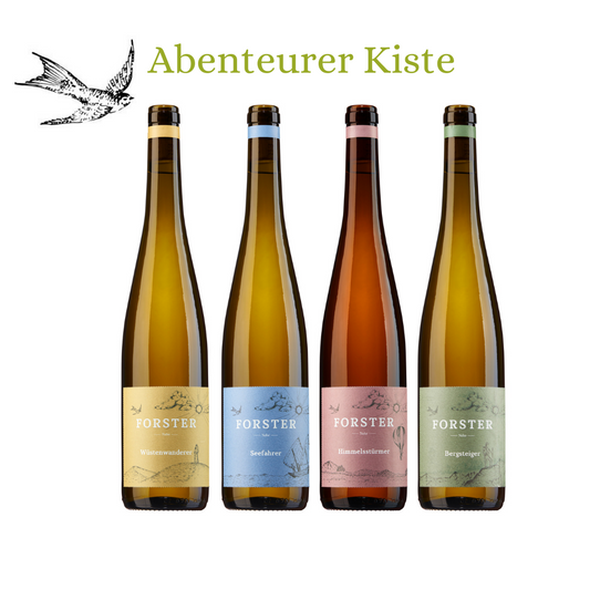 Zeigt 4 Flaschen Wein vom Weingut Forster. Geschenk. Abenteurer Weine. Alle Weine haben ein Korken und Etiketten in unterschiedlichen Farben, gelb, blau, rosa und grün. 