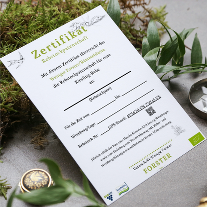 Zeigt das Rebpatenschaft Zertifikat.