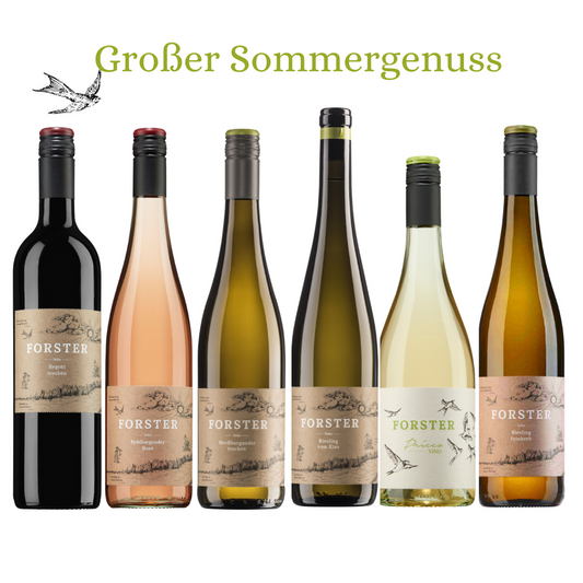 Großer Sommergenuss