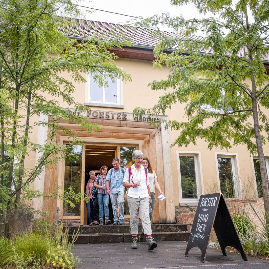 Eine Wandergruppe die aus der Vinothek des Weingut Forster rausläuft. 